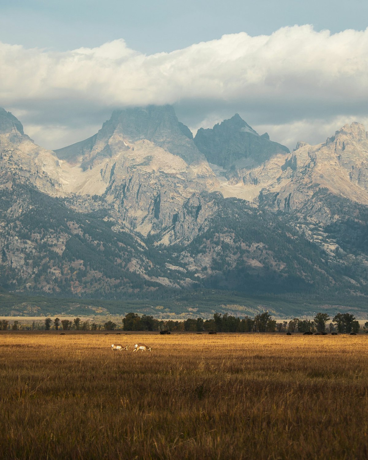Jackson Hole in October