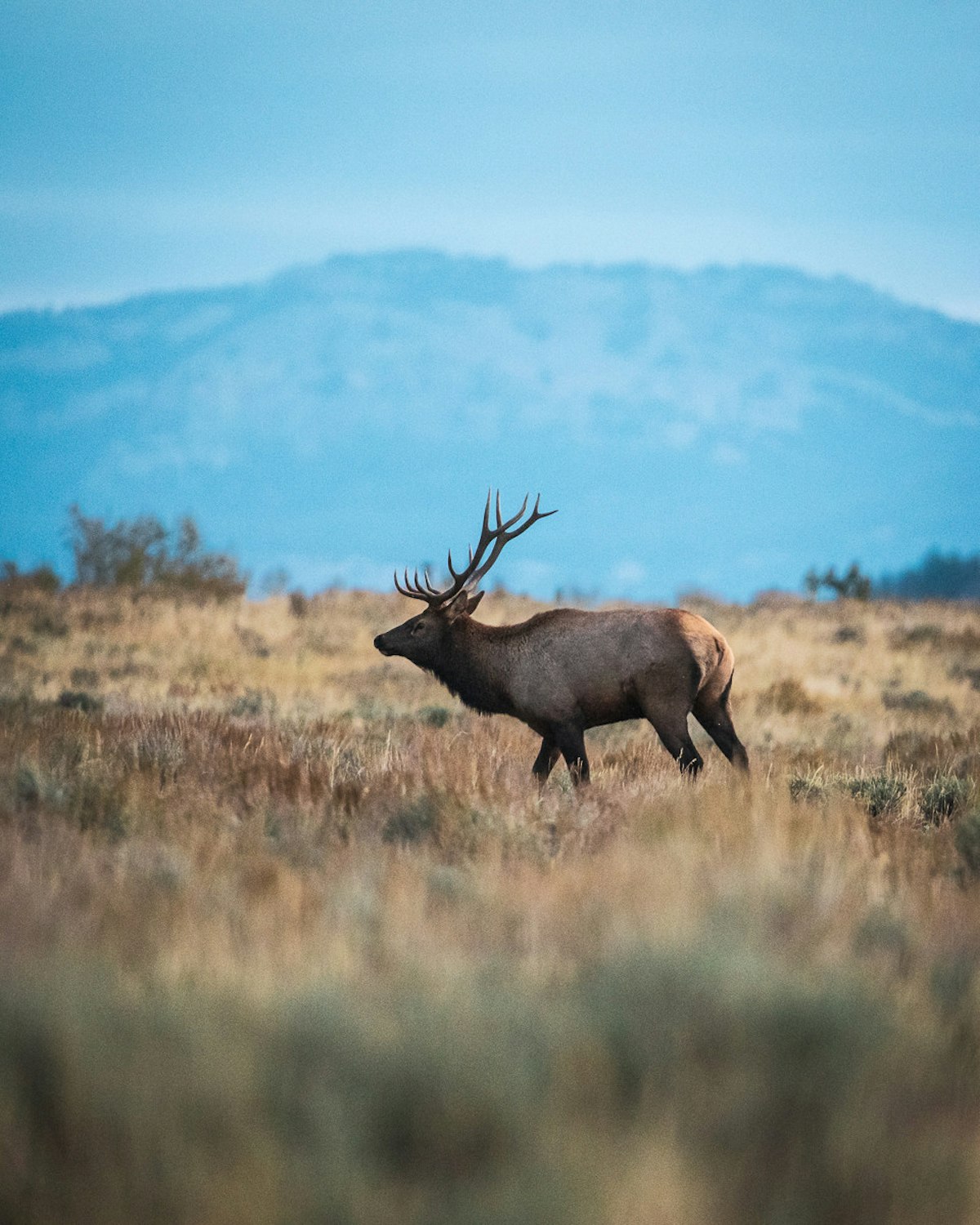 Jackson Hole in October