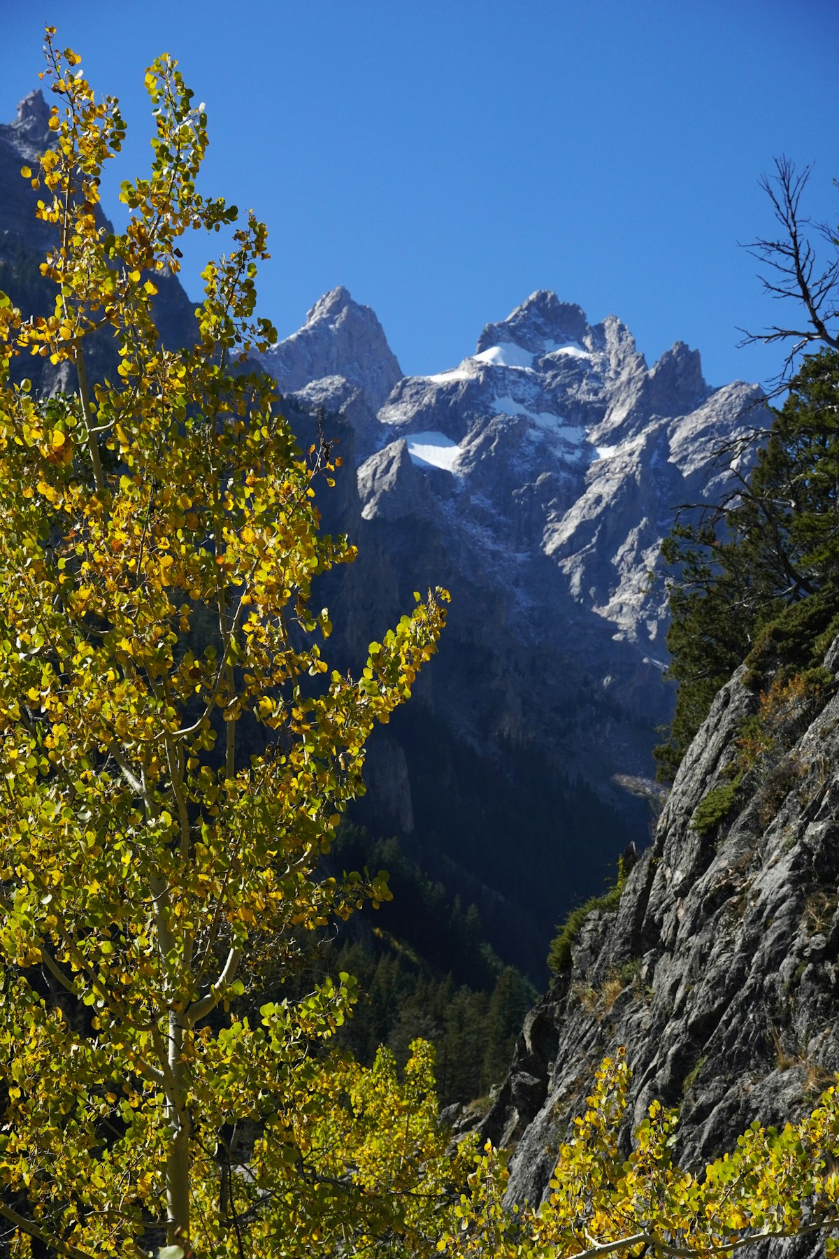 Jackson Hole in October
