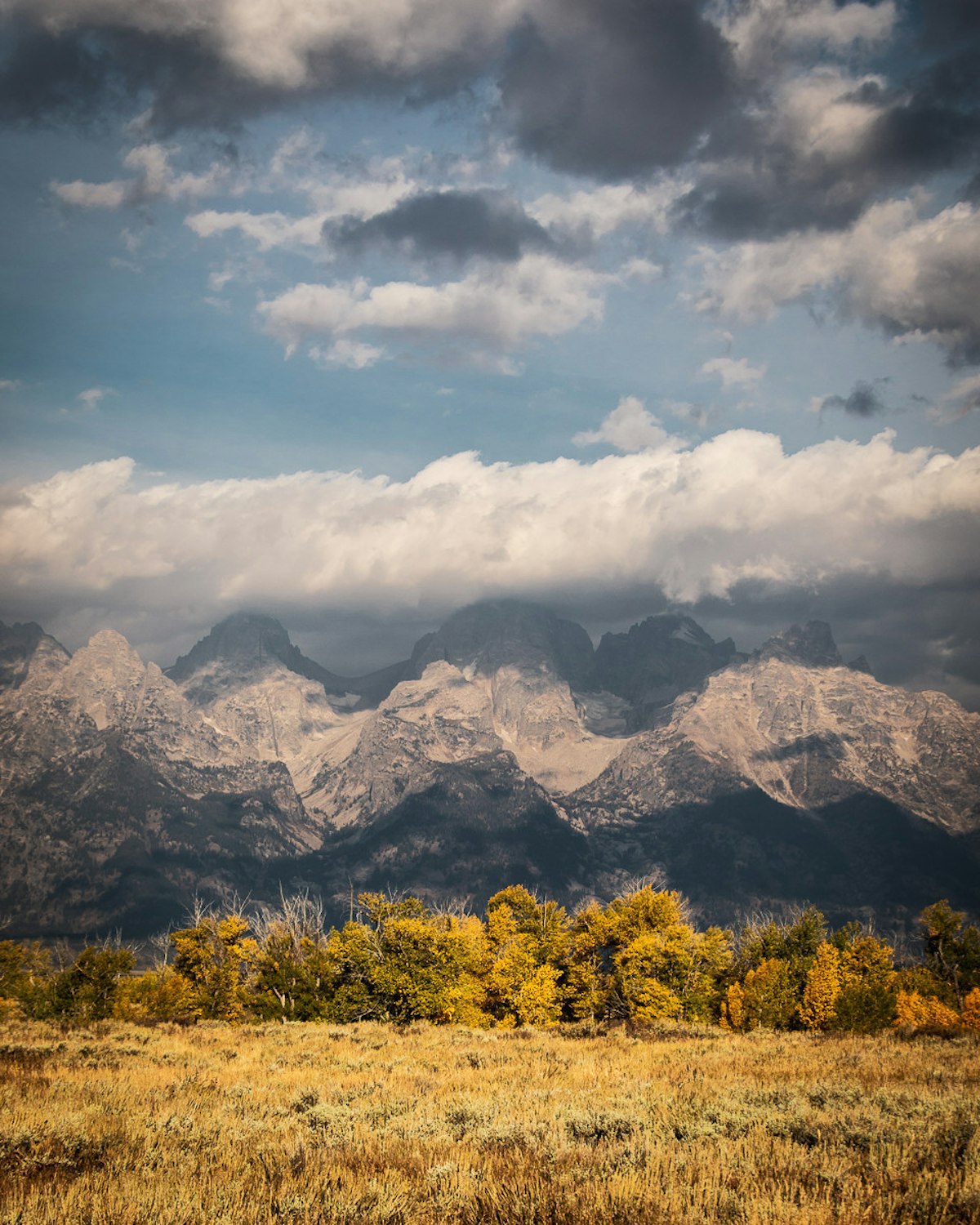 Jackson Hole in October