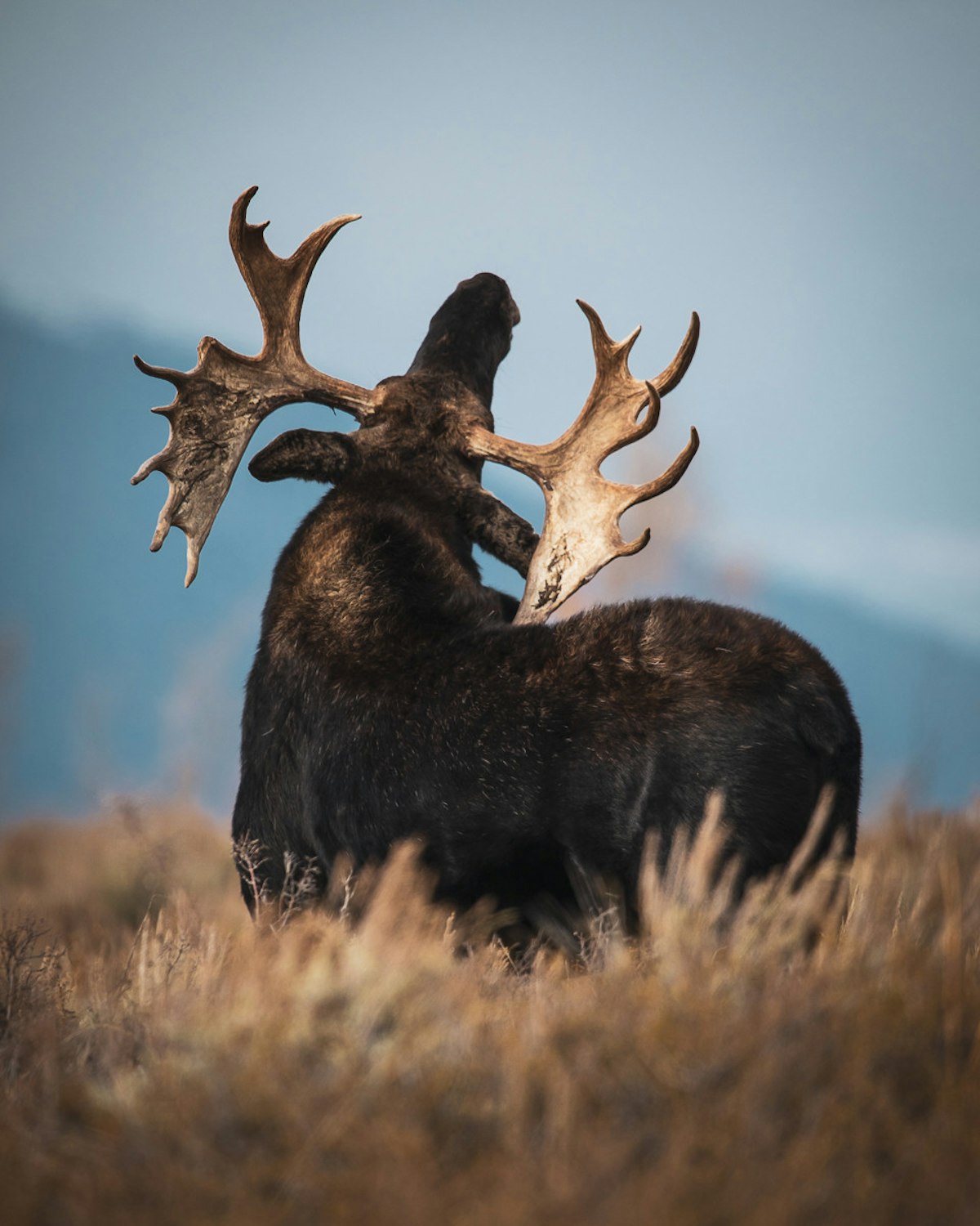 Jackson Hole in October