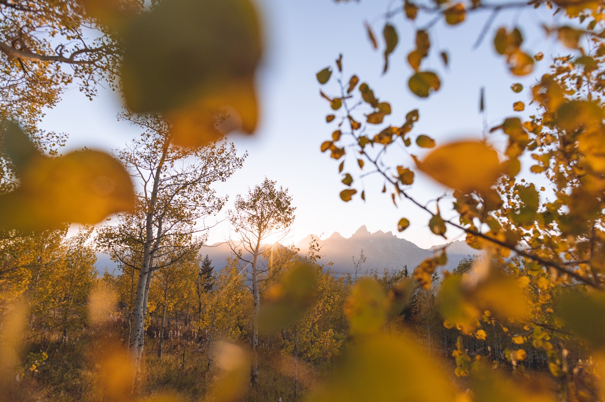 Jackson Hole in October