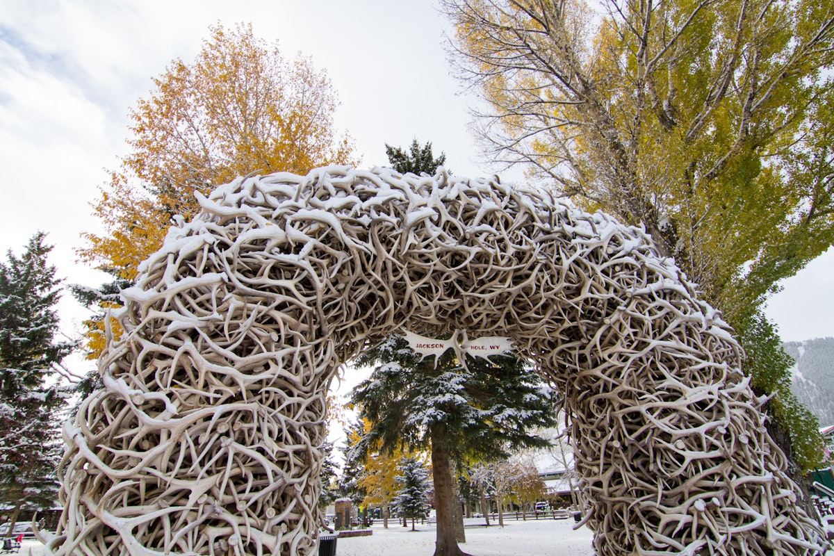 Jackson Hole in October