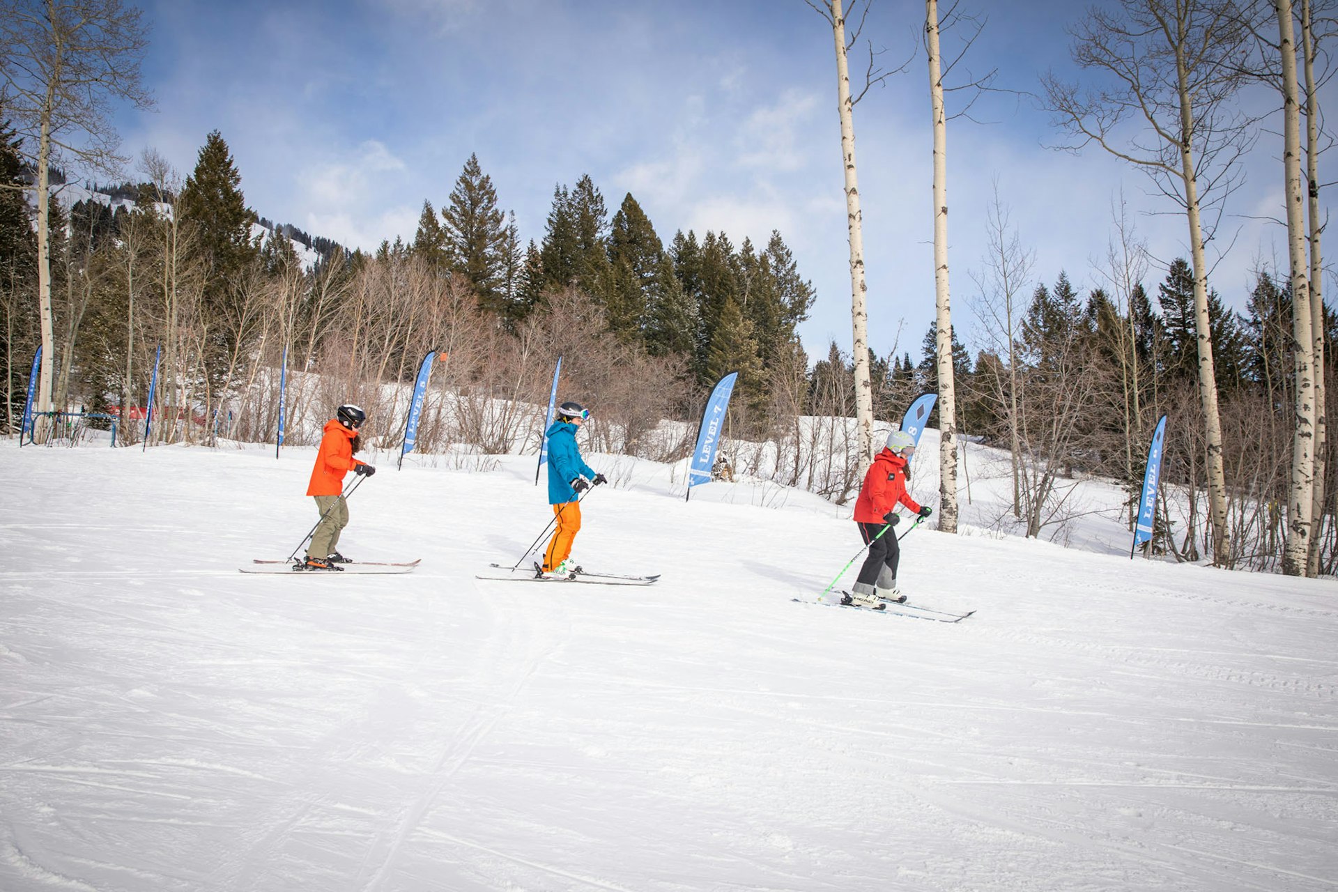 Beginner adults in ski lesson