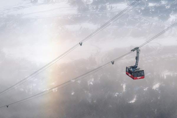 Tram in Winter