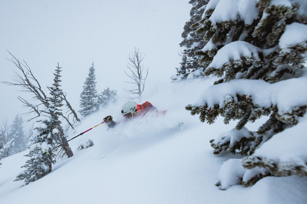 Madison Rose Ostergren | p: Stephen Shelesky