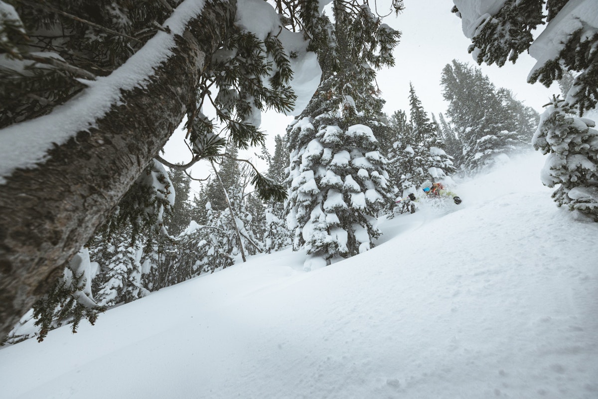 Madison Rose Ostergren | p: Stephen Shelesky