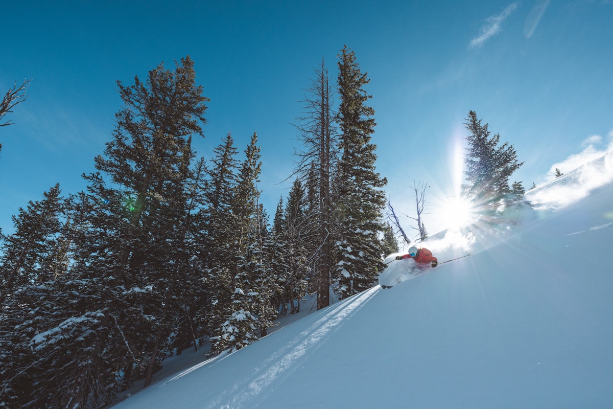 Madison Rose Ostergren | p: Stephen Shelesky