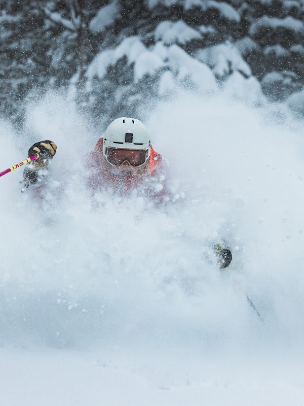 Madison Rose Ostergren | p: Stephen Shelesky