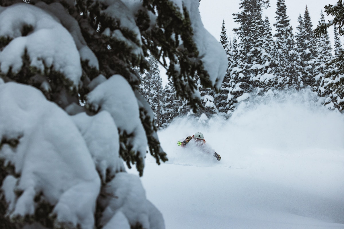 Madison Rose Ostergren | p: Stephen Shelesky