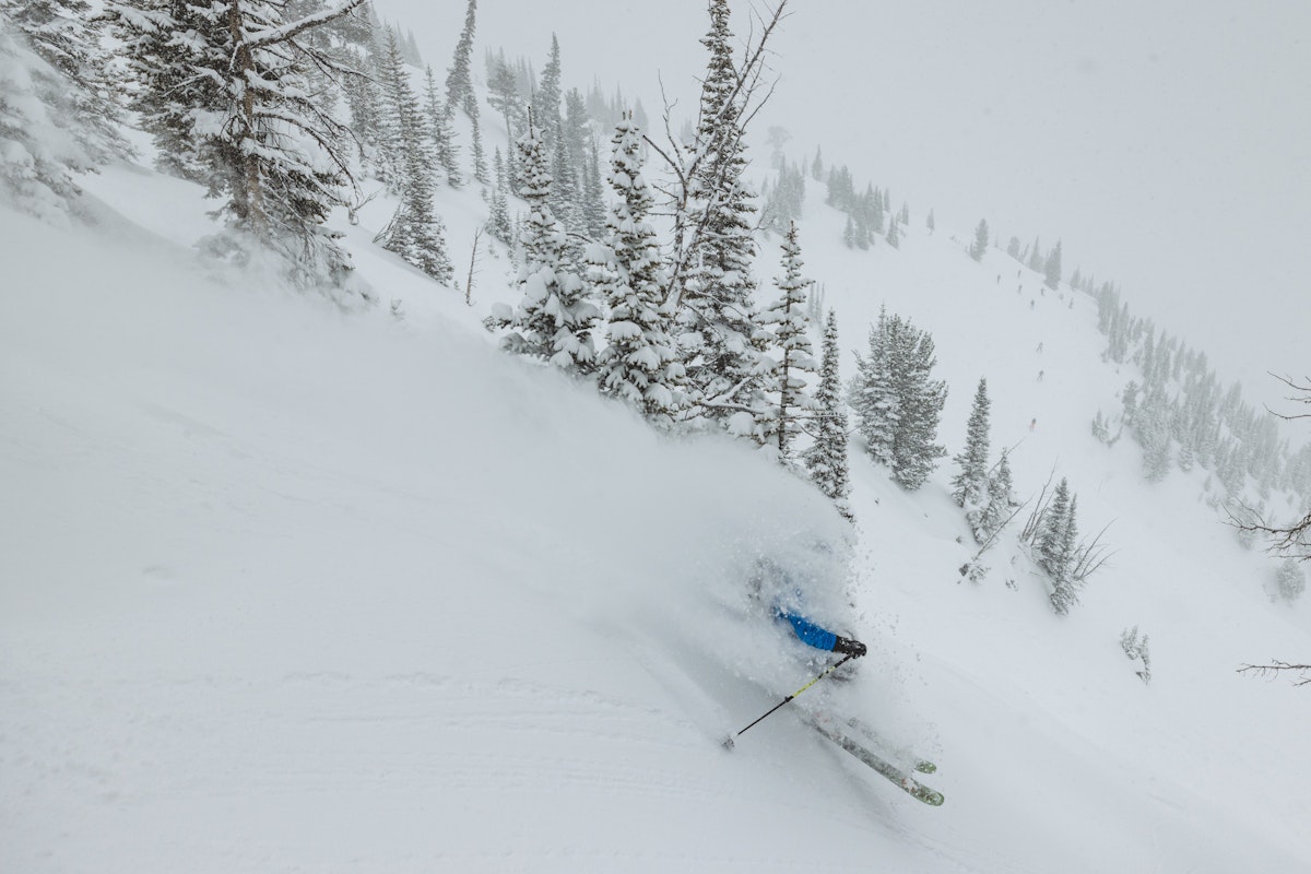 Jim Ryan | p: Stephen Shelesky