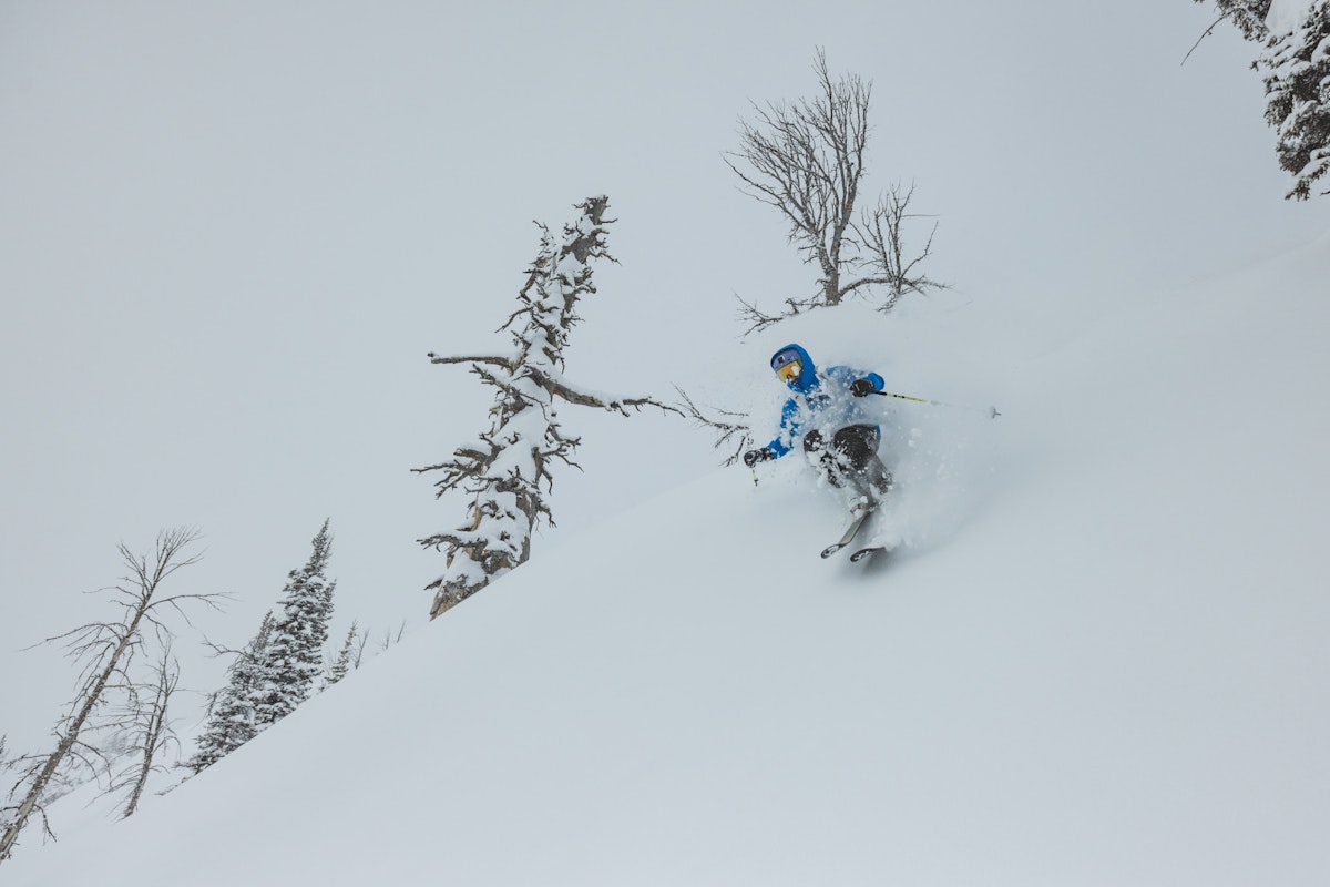 Jim Ryan | p: Stephen Shelesky