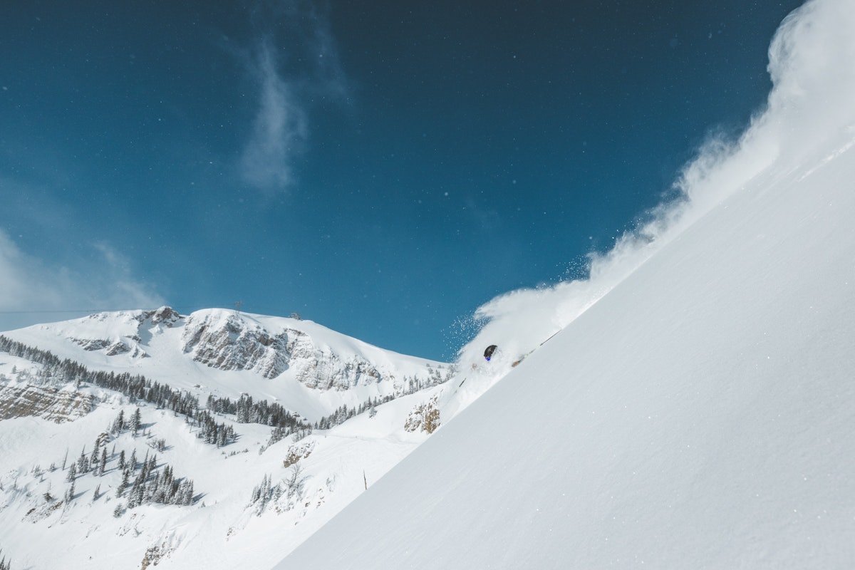 Jim Ryan | p: Stephen Shelesky