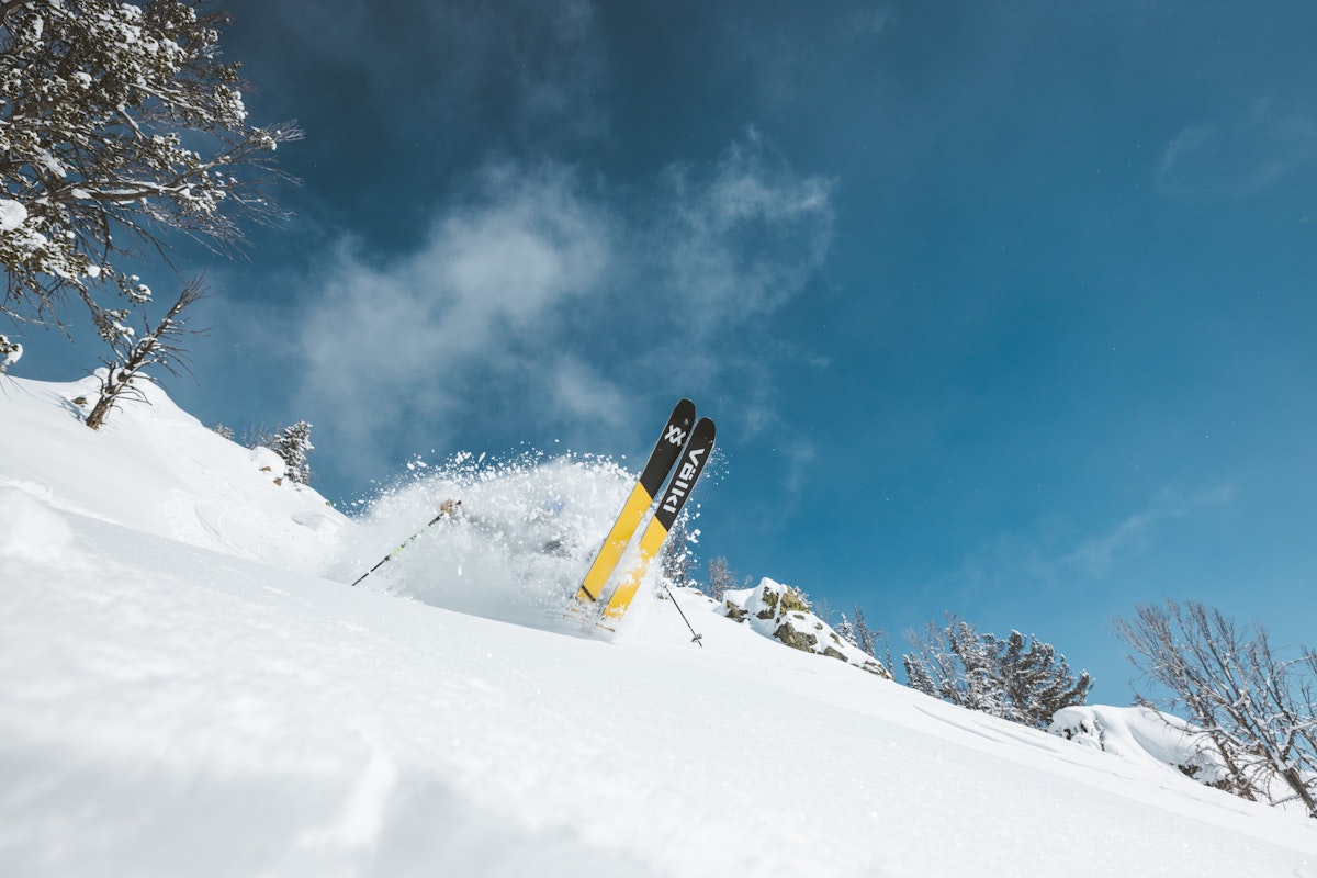 Jim Ryan | p: Stephen Shelesky