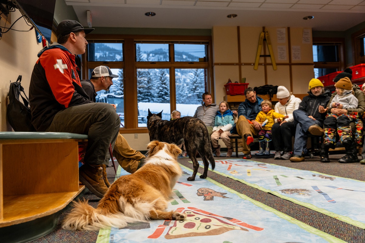 Cats & Dogs | p: Connor Burkesmith