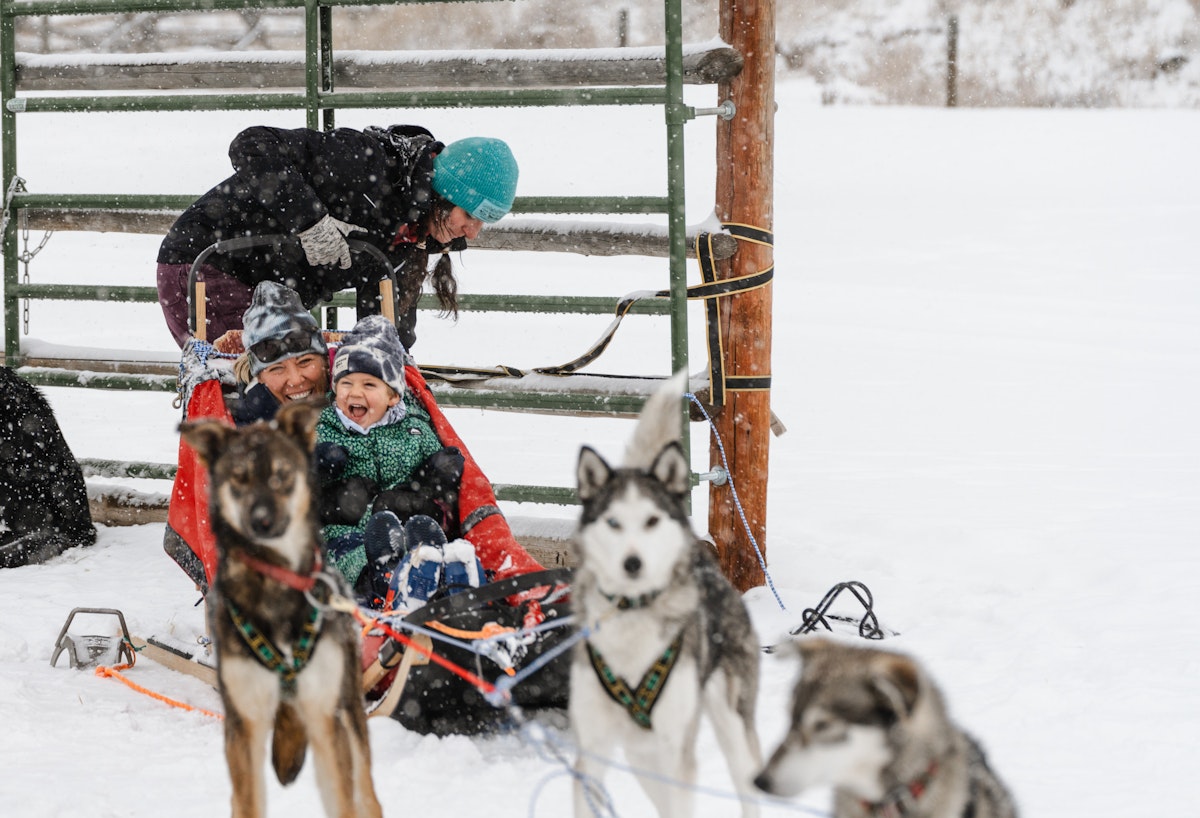 Dogsledding | p: Connor Burkesmith