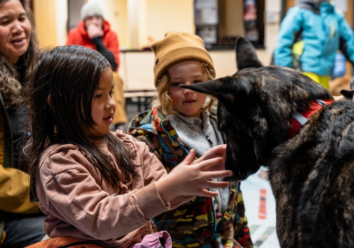 Cats & Dogs | p: Connor Burkesmith