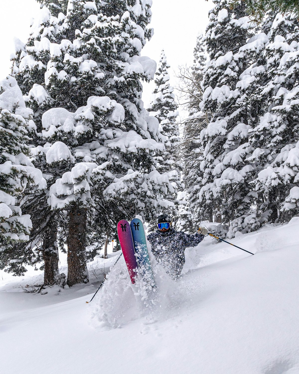 Corey Jackson | p: Nate Berenson