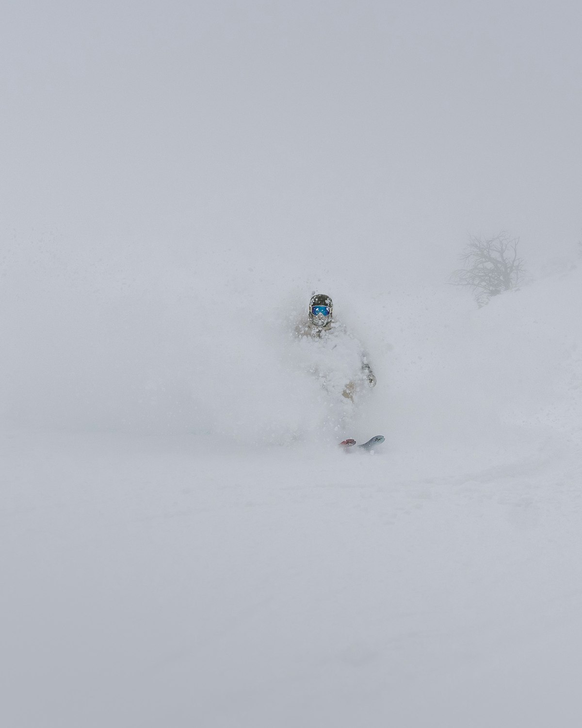 Corey Jackson | p: Nate Berenson