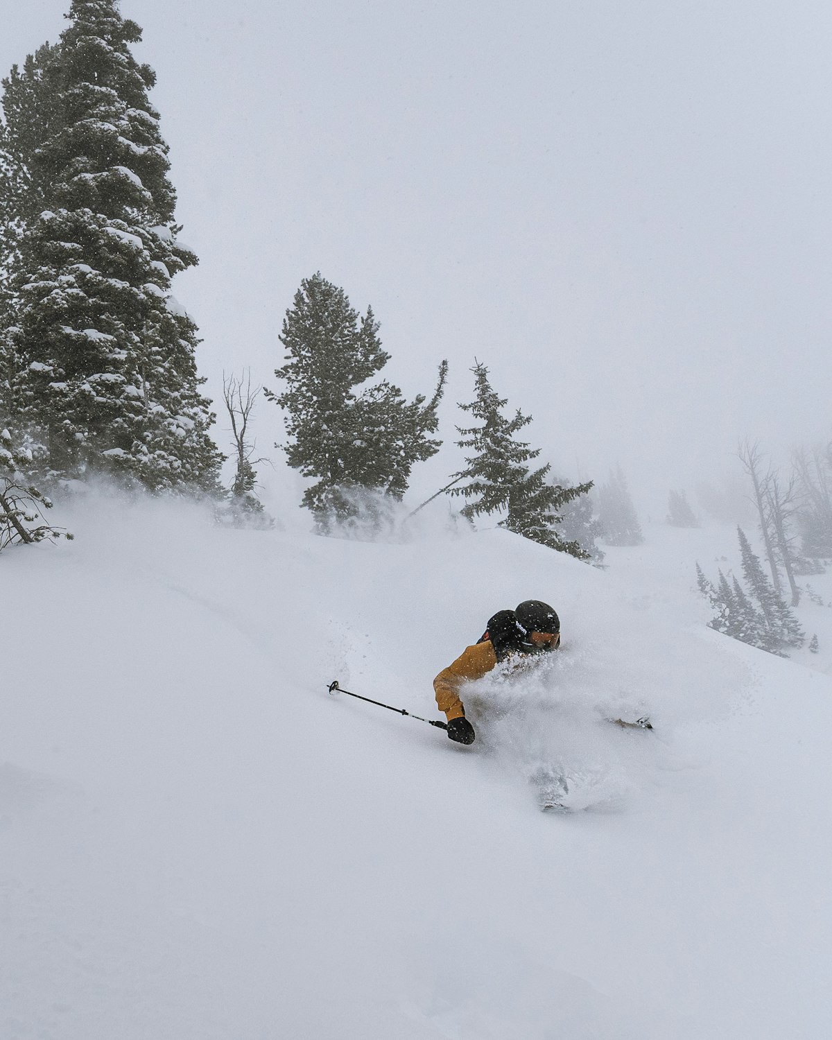 Griff Post | p: Nate Berenson