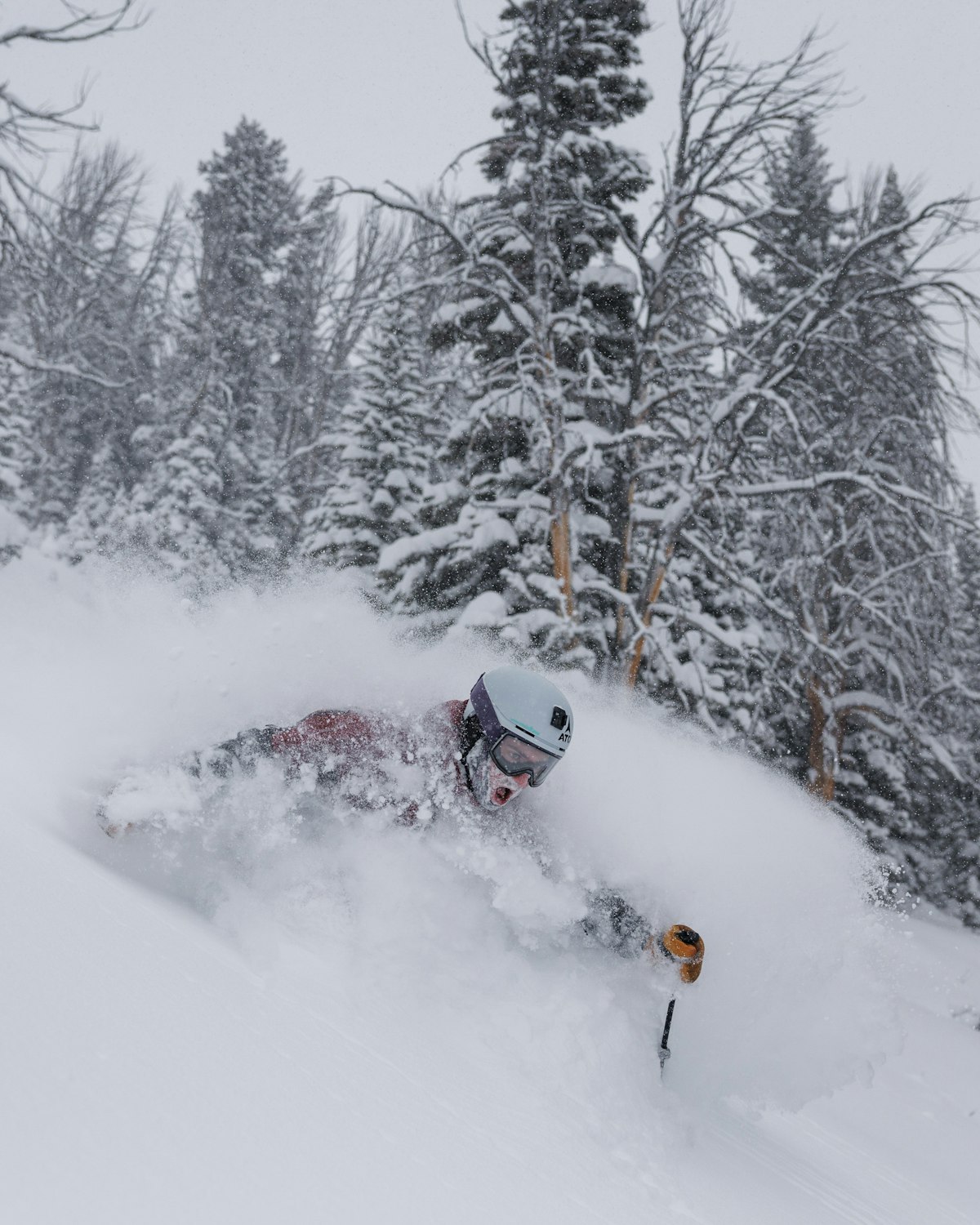 Mark Mazzatta | p: Brooks Curran
