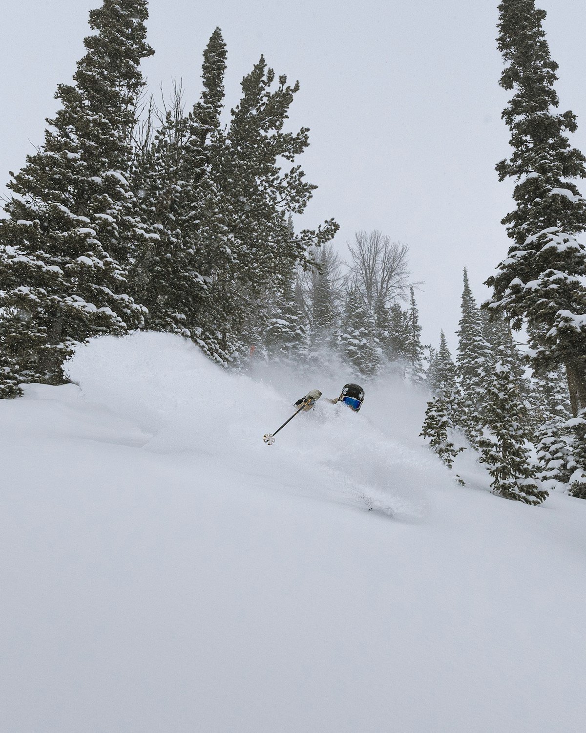 Corey Jackson | p: Nate Berenson