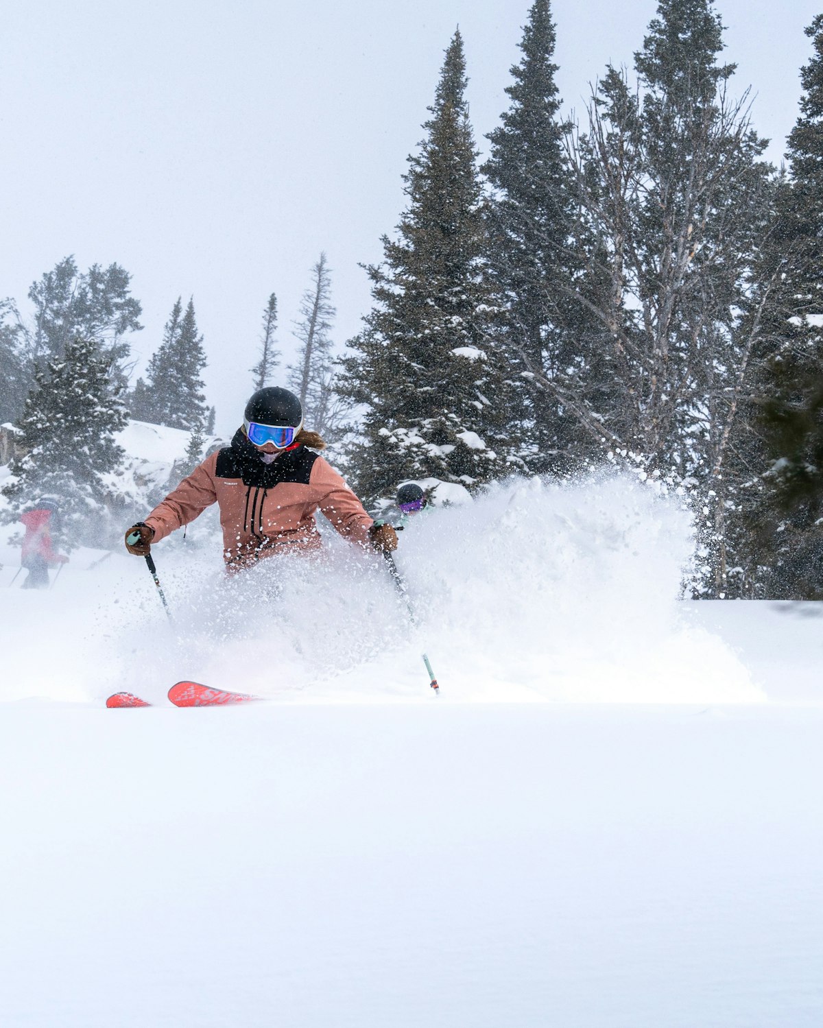 Anna Gibson | p: Nate Berenson
