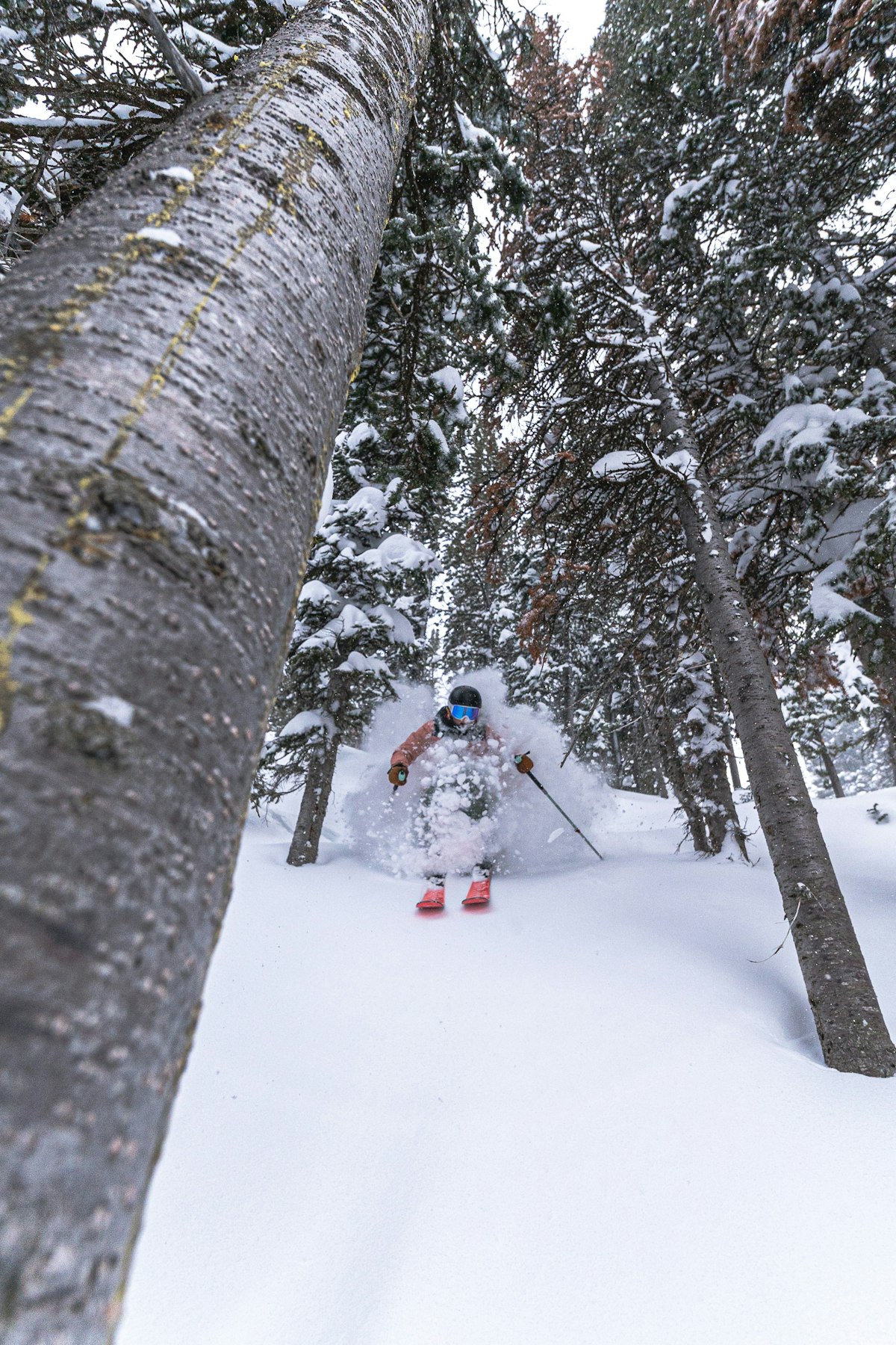 Anna Gibson | p: Nate Berenson