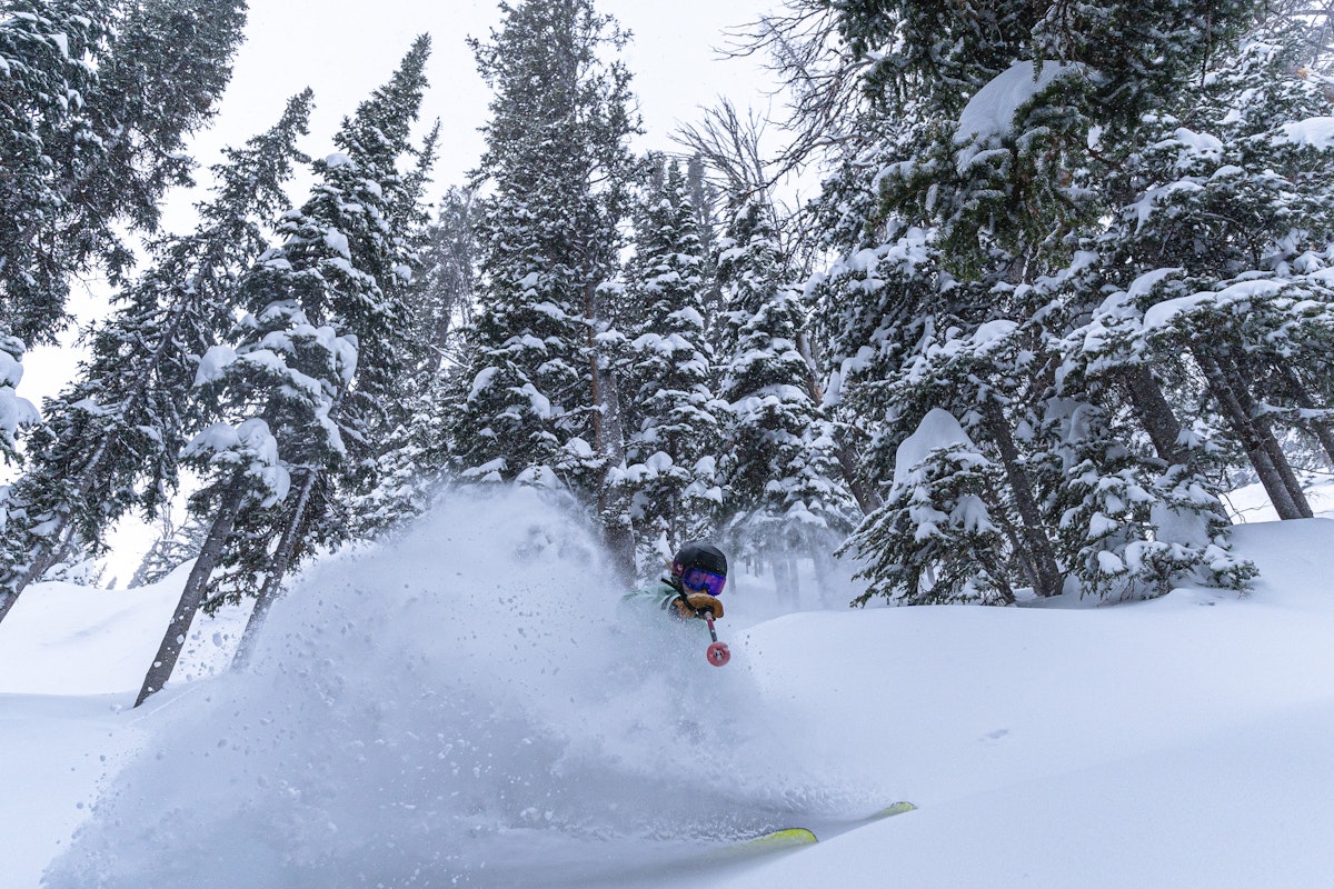 Reily Gibson | p: Nate Berenson