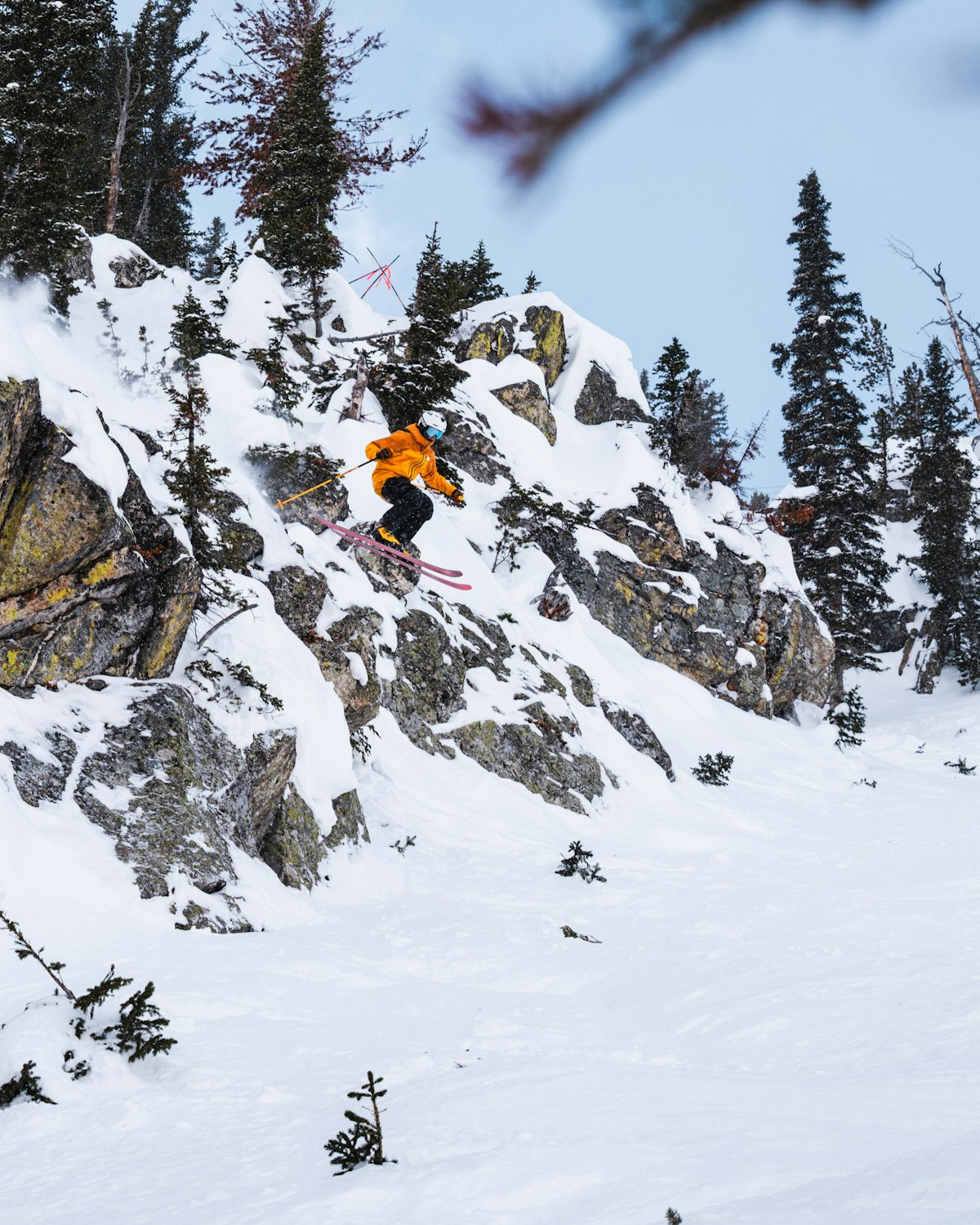 2025 IFSA 2* Jr Freeride Event | p: Connor Burkesmith