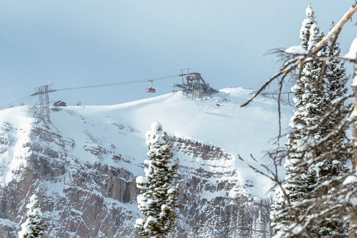 Jackson Hole Blog - Jackson Hole Mountain Resort