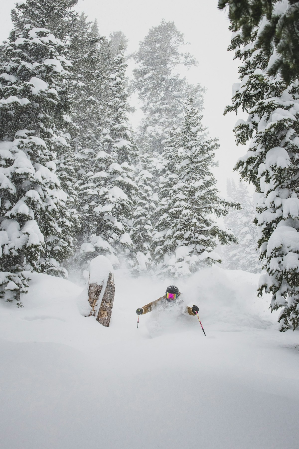 Powder | p: Amy Jimmerson