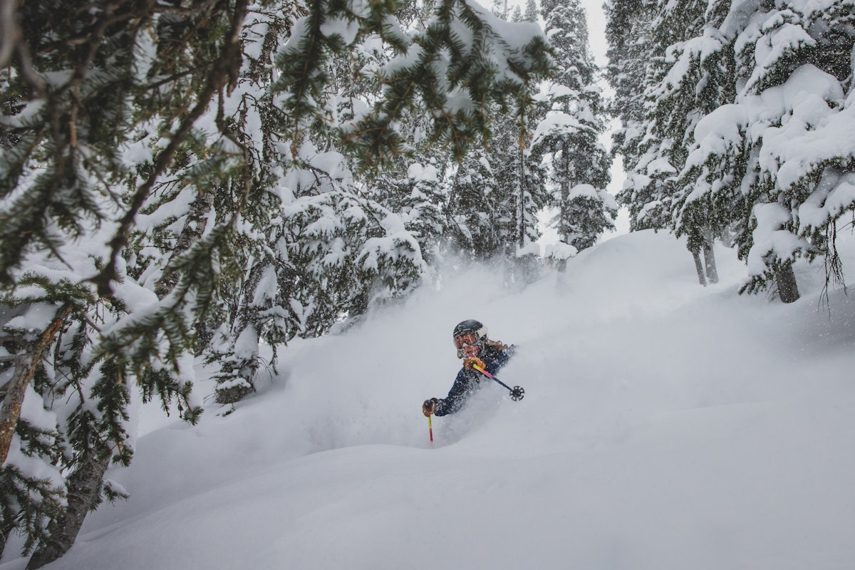 Powder | p: Amy Jimmerson
