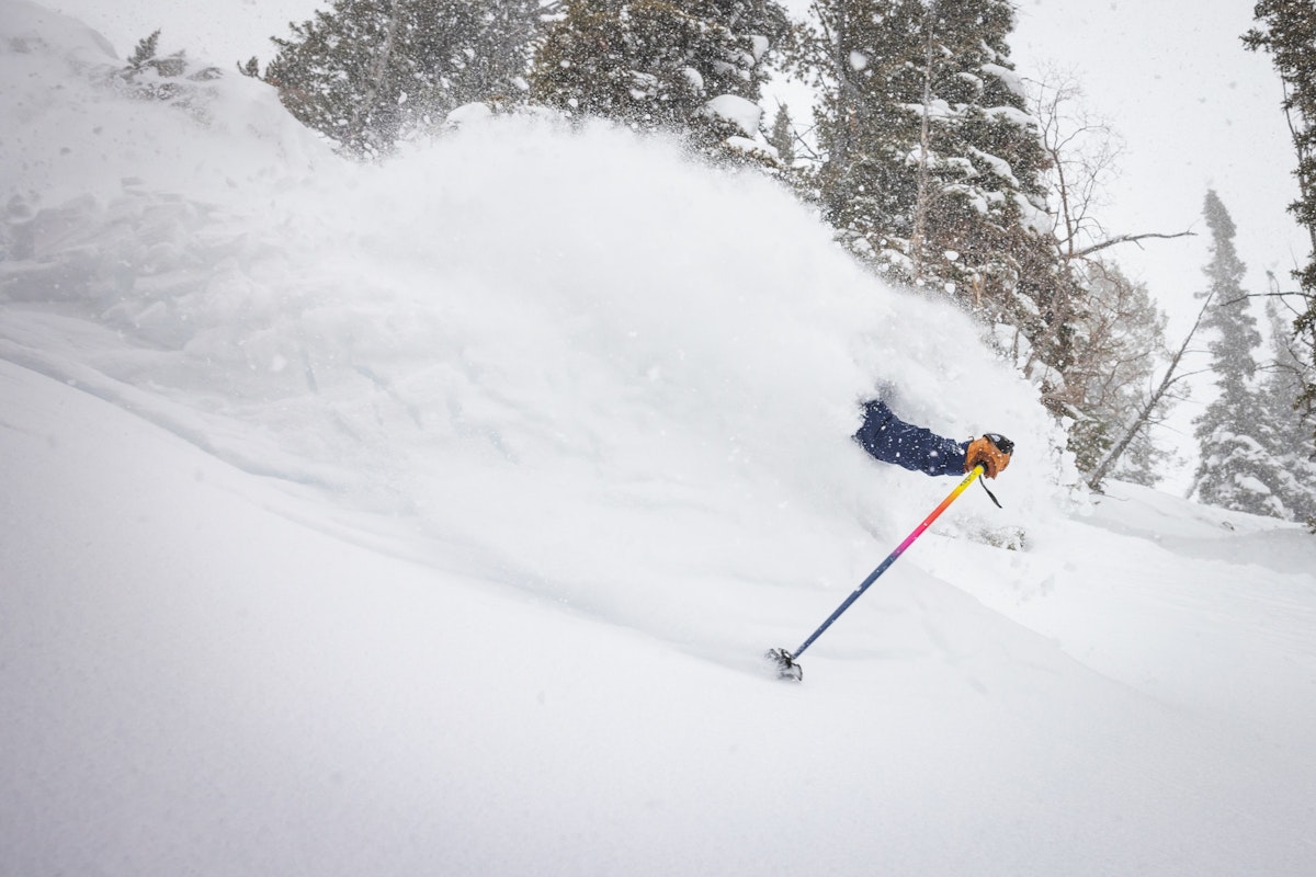 Powder | p: Amy Jimmerson