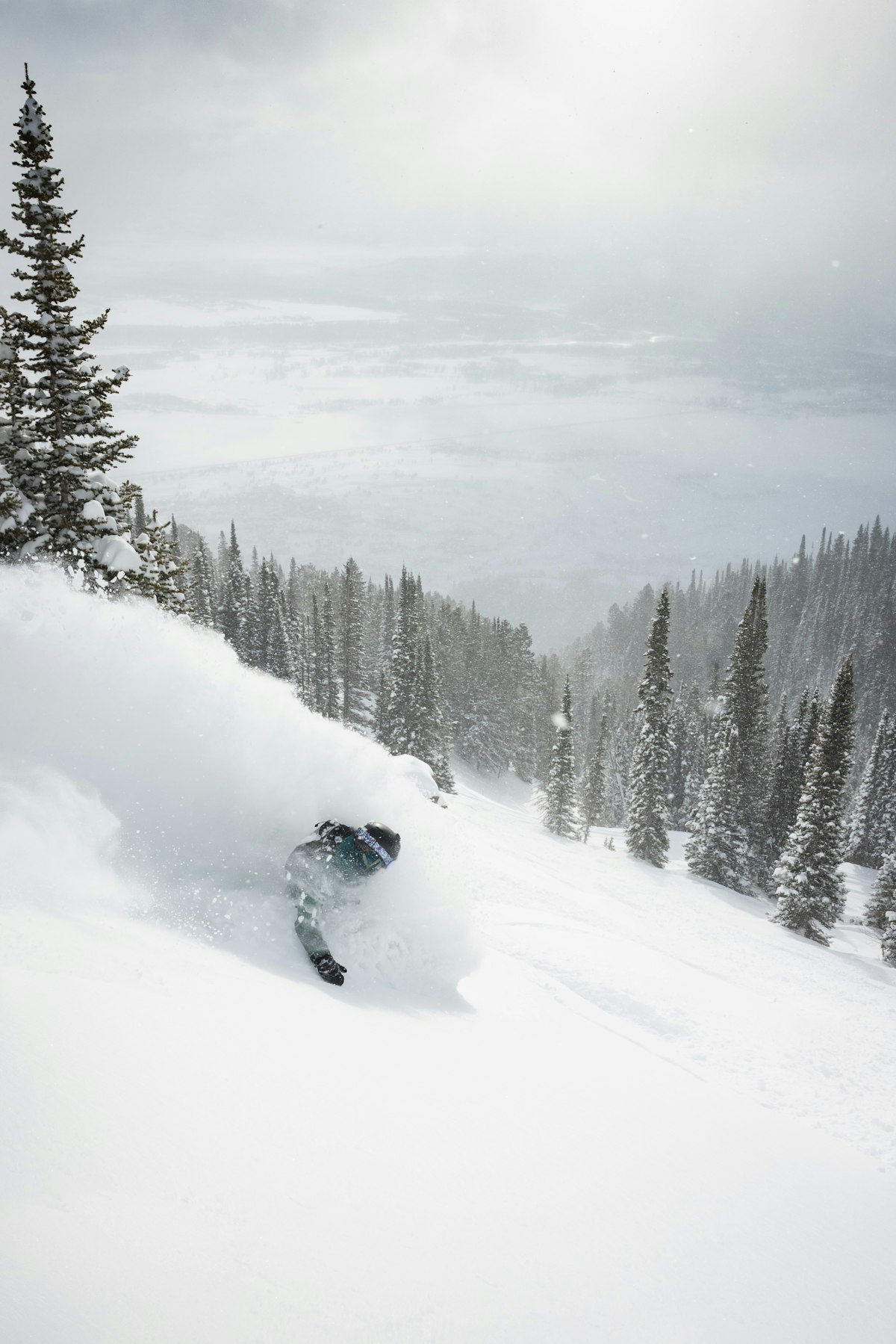 Powder | p: Amy Jimmerson