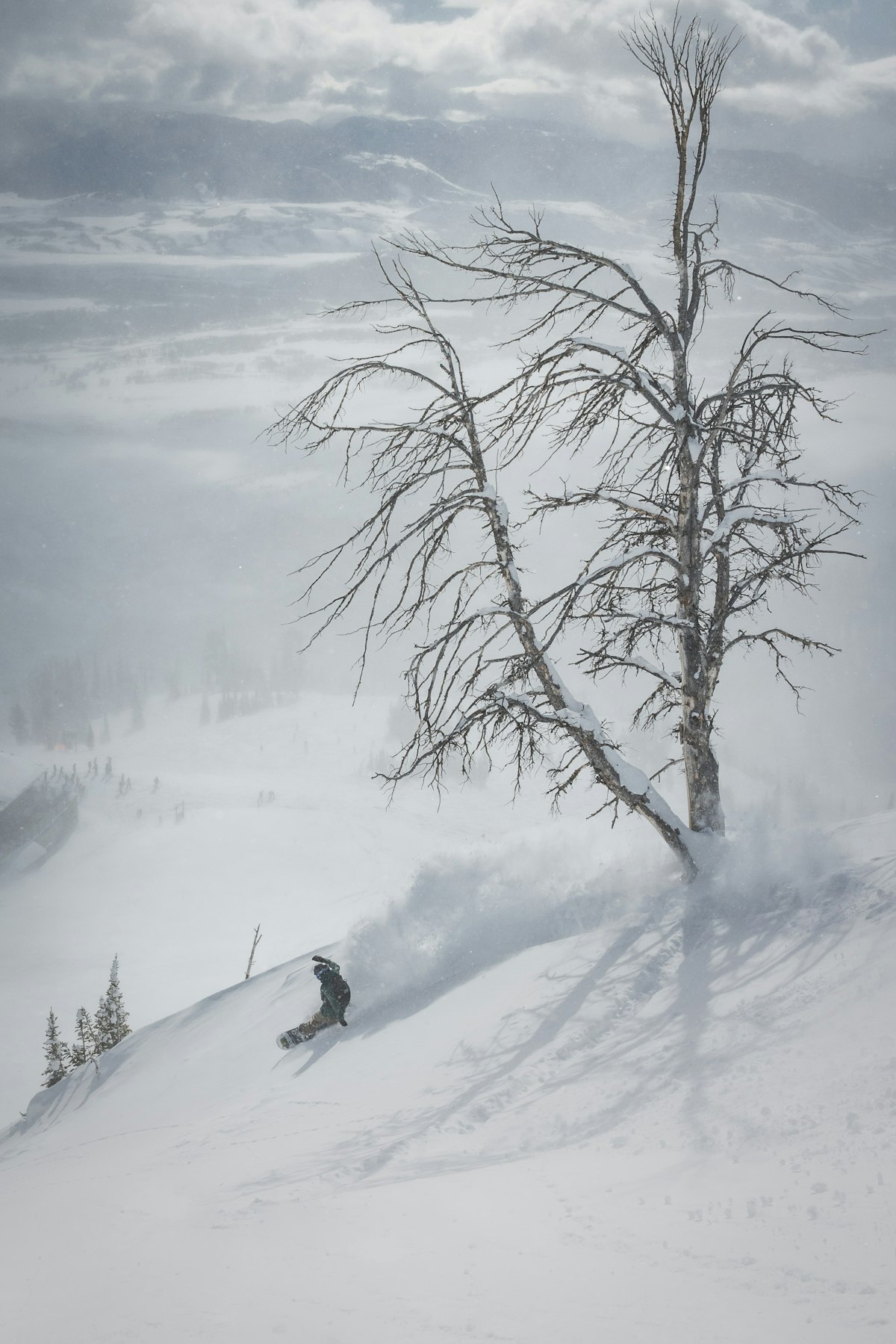 Powder | p: Amy Jimmerson