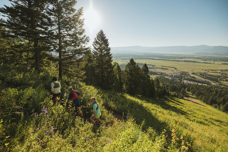 Hikers on the trail
