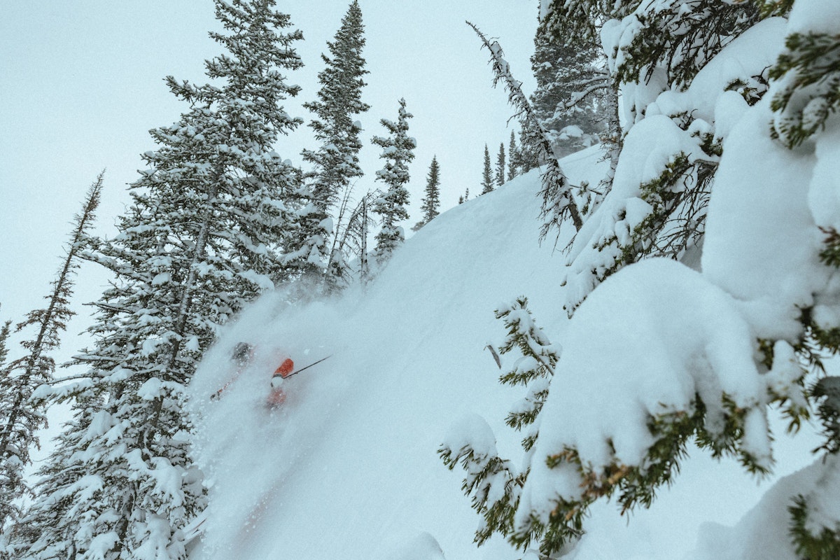 Quinn dives into the white room | p. Stephen Shelesky