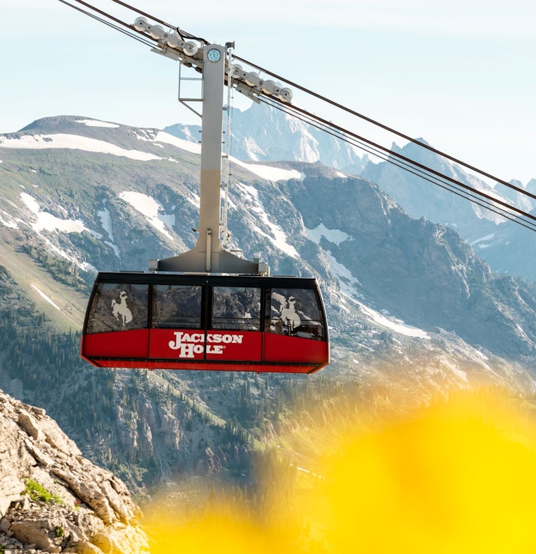summer tram