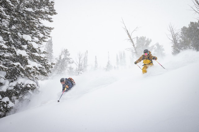 Friedns enjoying powder together