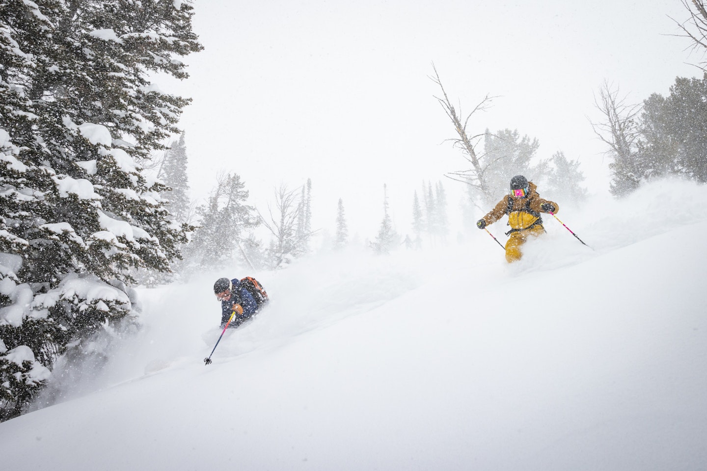 Friedns enjoying powder together