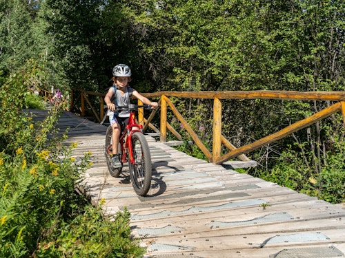 Kid leaning to bike