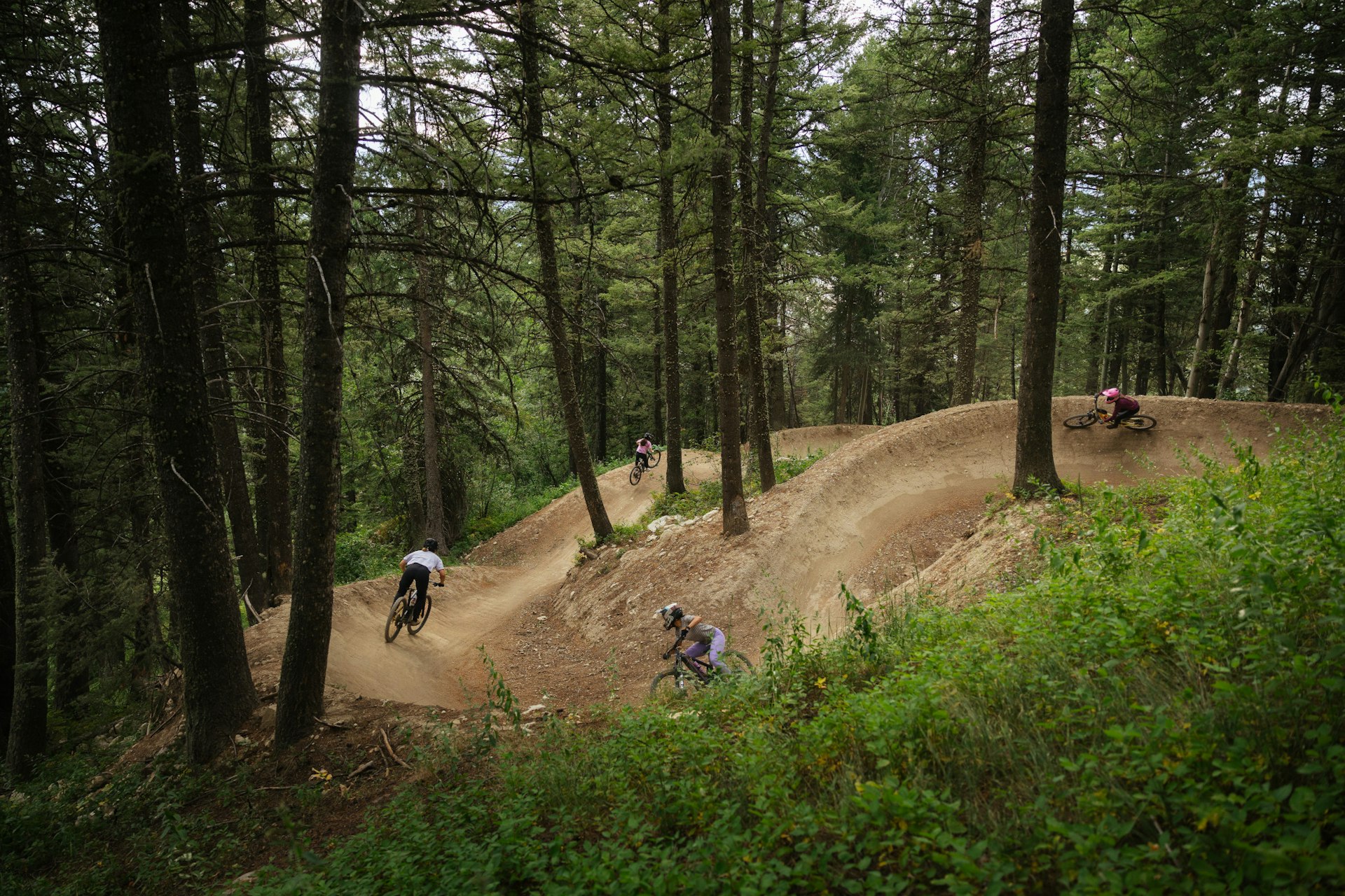 Jackson Hole Bike Park Group