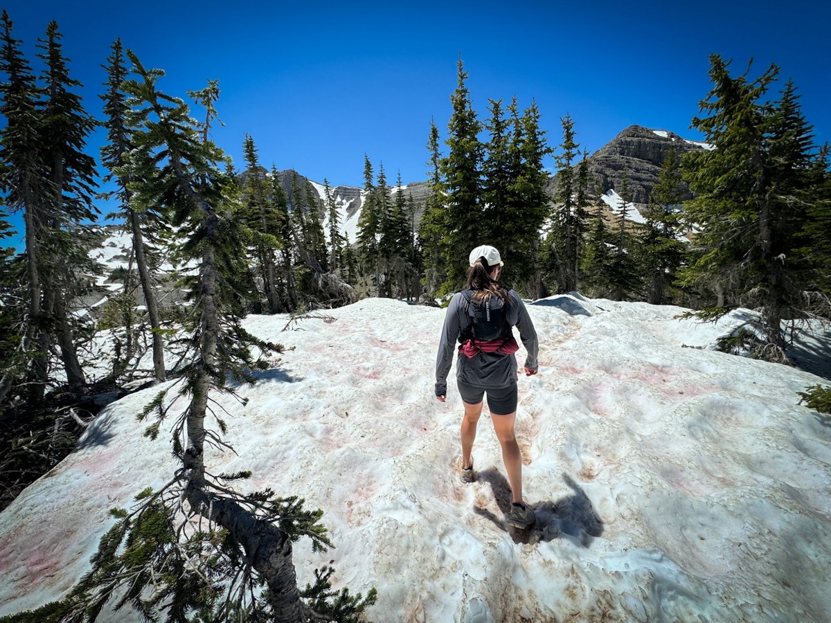 Snow in july Jackson Hole
