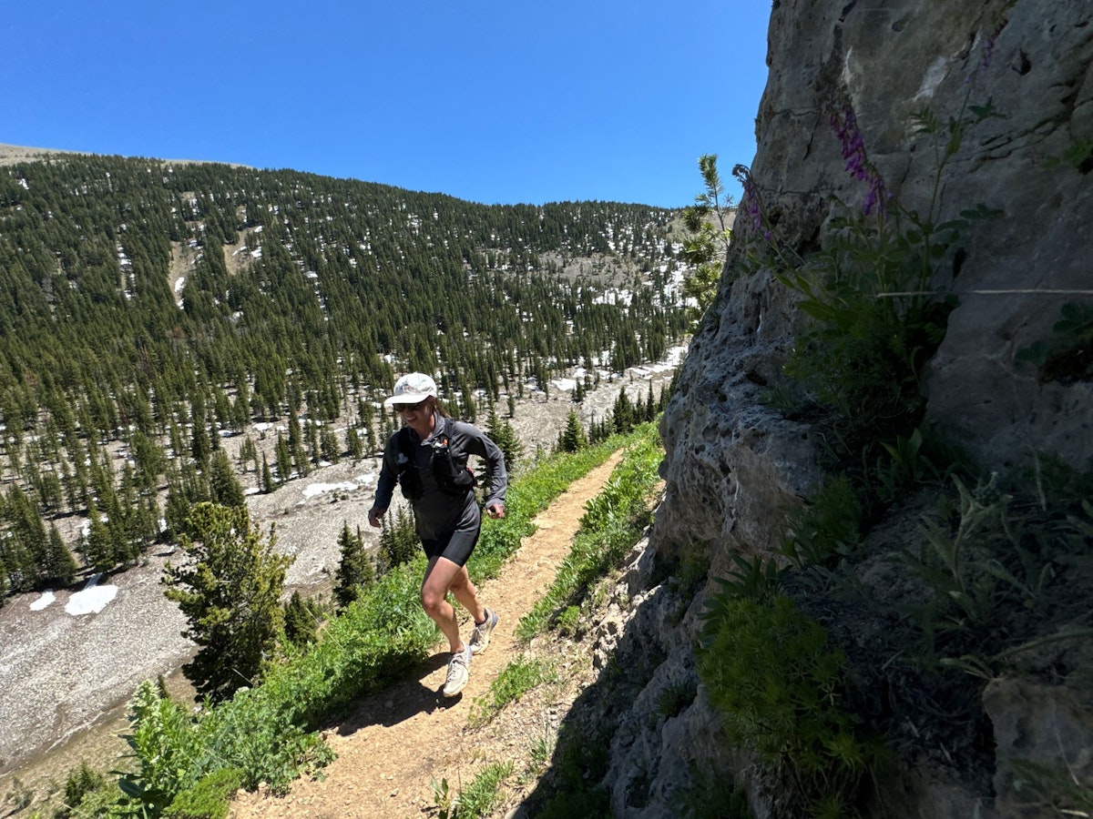 Cardiac Ridge Jackson Hole Targhee woods in the back
