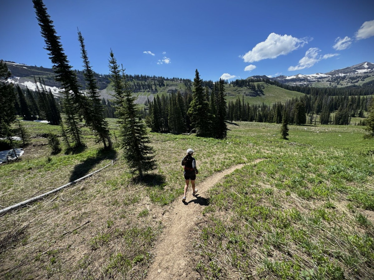 Running through high alpine meadow Grand Teton National Park