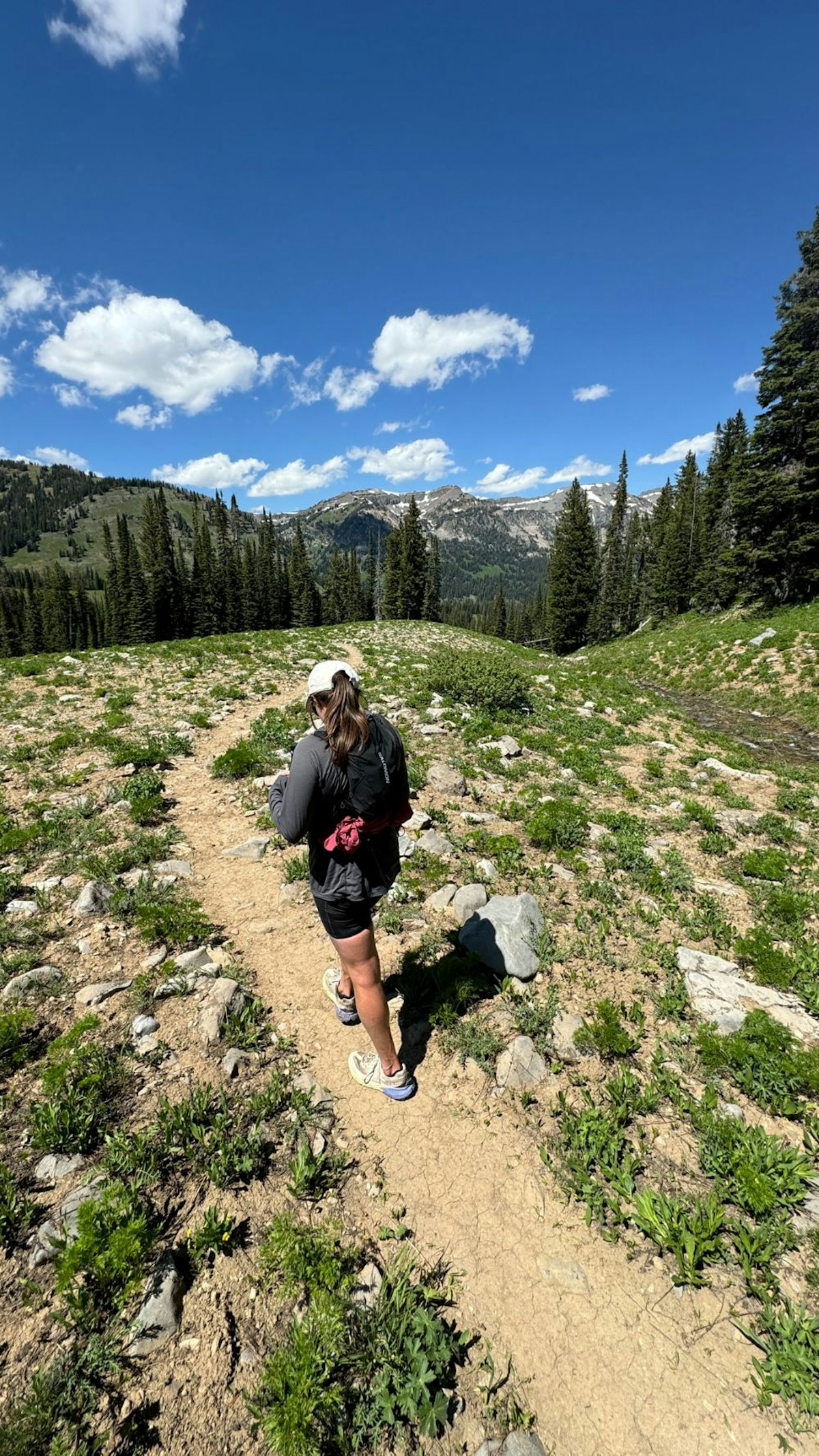 Break from running Jackson Hole