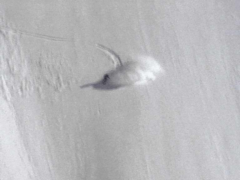 Julie Zell GIF making a big S turn on an Alaskan wall