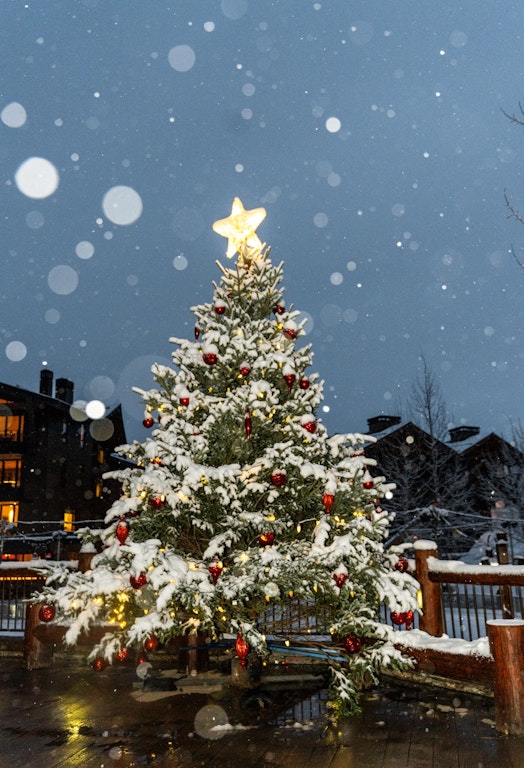 Christmas tree in the snow