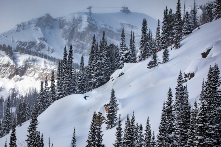 Natural Selection air